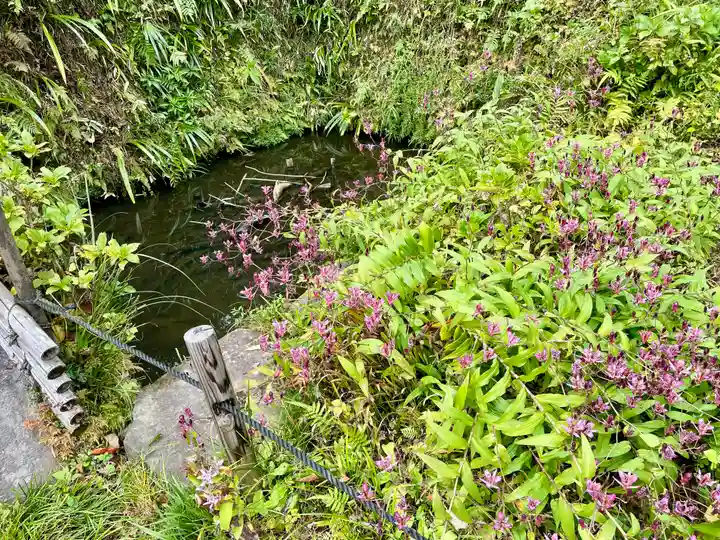 東慶寺(神奈川県)