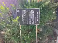 神明宮(神奈川県)