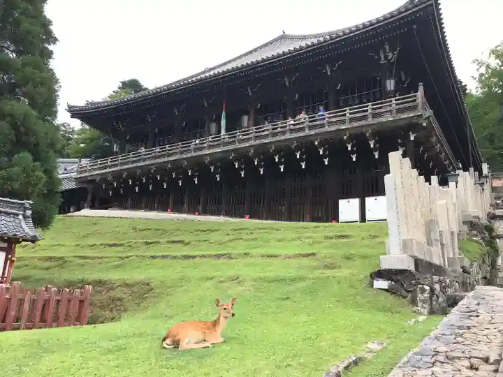 東大寺 二月堂(奈良県)