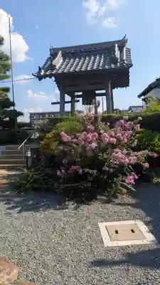 金花寺(京都府)