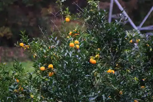 大六天麻王神社の周辺