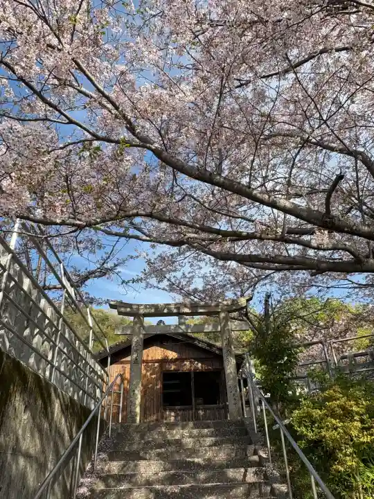 大田神社の{uncategorized: "未分類", other: "その他", undefined: "問題あり", building: "その他建物", grave: "お墓", sacred_gate: "鳥居", guardian: "狛犬", statue: "像", buddha: "仏像", history: "歴史", nature: "自然", garden: "庭園", animal: "動物", pagoda: "塔", temizu: "手水舎", mountain_gate: "山門・神門", sanctuary: "本殿・本堂", subordinate: "末社・摂社", art: "芸術", scenery: "景色", jizo: "地蔵", ema: "絵馬", goshuin: "御朱印", omikuji: "おみくじ", items: "授与品その他", amulet: "お守り", goshuincho: "御朱印帳", eats: "食事", festival: "お祭り", votive_dance: "神楽", shichigosan: "七五三参", wedding: "結婚式", experience: "体験その他", initially: "初詣", around: "周辺", anti_infection: "感染症対策"}