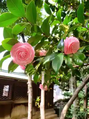 白金氷川神社(東京都)