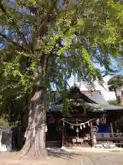 賀羅加波神社(広島県)