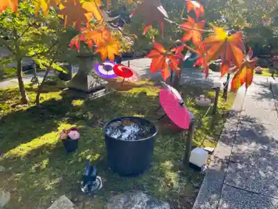 勝林寺(京都府)