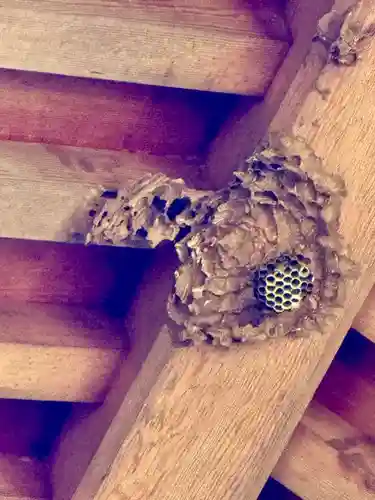 瀬織津姫社(石川県)