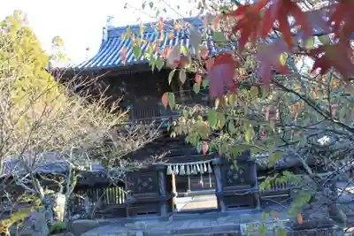 須佐能袁神社の本殿・本堂