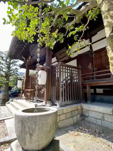 天性寺の本殿・本堂