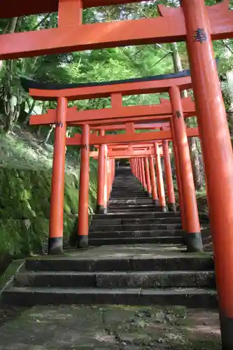 有子山稲荷神社の鳥居