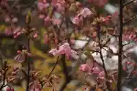 開成山大神宮の庭園