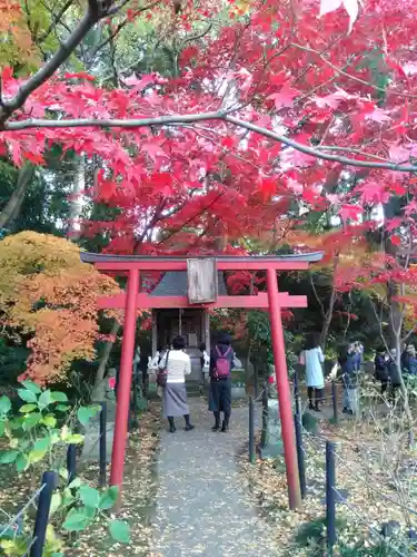 本土寺の鳥居