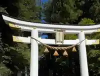 宝登山神社(埼玉県)