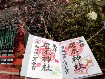 春よ来い御朱印と拝殿側の紅梅、白梅。