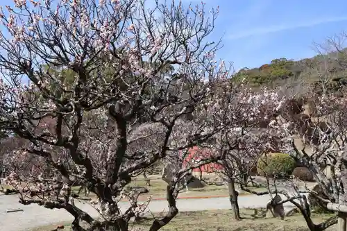 防府天満宮(山口県)