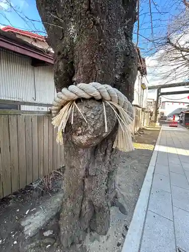 小室浅間神社(山梨県)