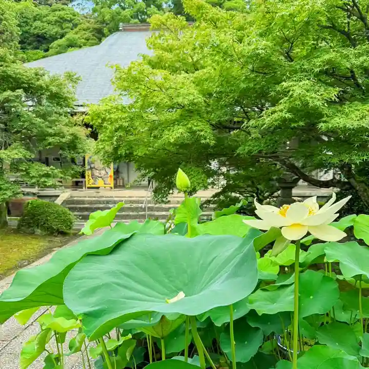 伊勢の国 四天王寺(三重県)