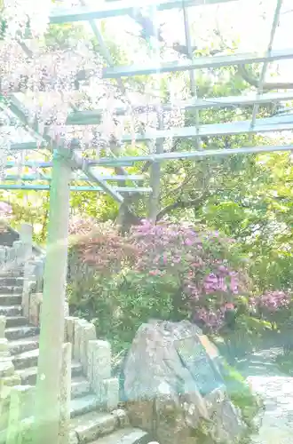 阿智神社の庭園