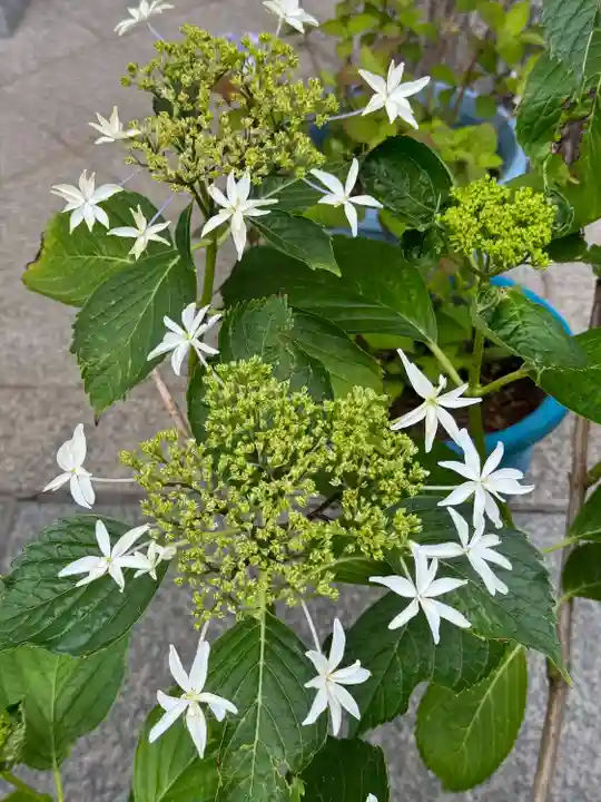 松嶺院(神奈川県)