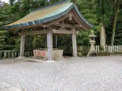 今山八幡宮の{uncategorized: "未分類", other: "その他", undefined: "問題あり", building: "その他建物", grave: "お墓", sacred_gate: "鳥居", guardian: "狛犬", statue: "像", buddha: "仏像", history: "歴史", nature: "自然", garden: "庭園", animal: "動物", pagoda: "塔", temizu: "手水舎", mountain_gate: "山門・神門", sanctuary: "本殿・本堂", subordinate: "末社・摂社", art: "芸術", scenery: "景色", jizo: "地蔵", ema: "絵馬", goshuin: "御朱印", omikuji: "おみくじ", items: "授与品その他", amulet: "お守り", goshuincho: "御朱印帳", eats: "食事", festival: "お祭り", votive_dance: "神楽", shichigosan: "七五三参", wedding: "結婚式", experience: "体験その他", initially: "初詣", around: "周辺", anti_infection: "感染症対策"}