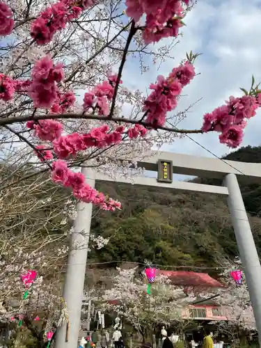 桃太郎神社（栗栖）の鳥居