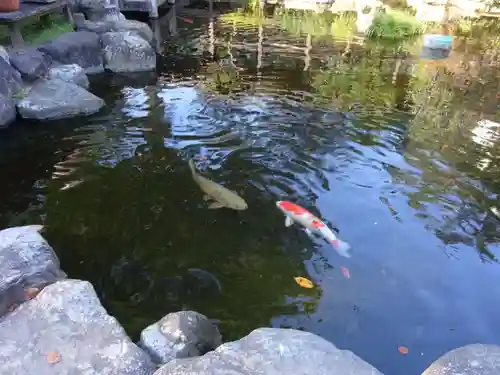 白峰寺の庭園