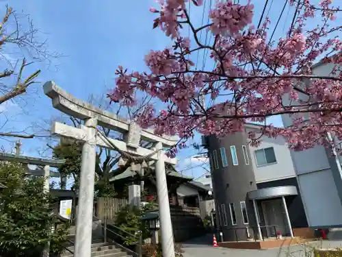 鳩ヶ谷氷川神社の鳥居