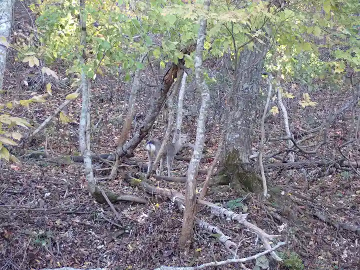 厚岸神社の自然