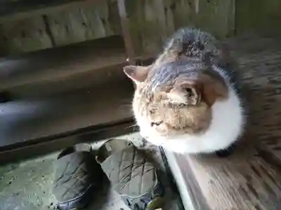 小松寺(千葉県)
