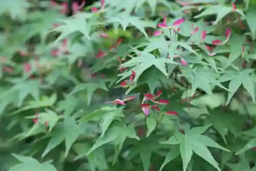 宝満宮竈門神社(福岡県)