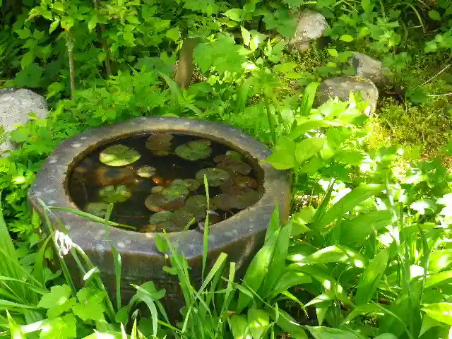 黄梅院(円覚寺塔頭)の自然