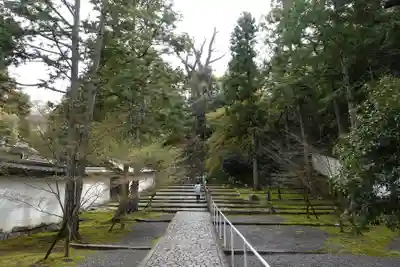 知恩院(京都府)