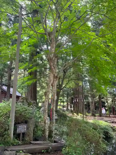 河口浅間神社(山梨県)