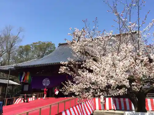 善導寺(福岡県)