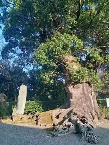 粉河寺(和歌山県)