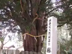 熊野速玉大社の自然