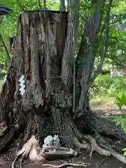 帯廣神社の自然