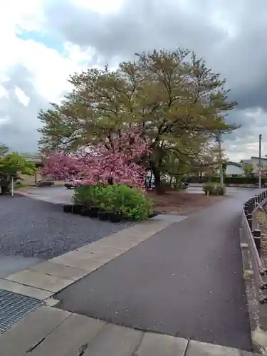 天性寺(山形県)