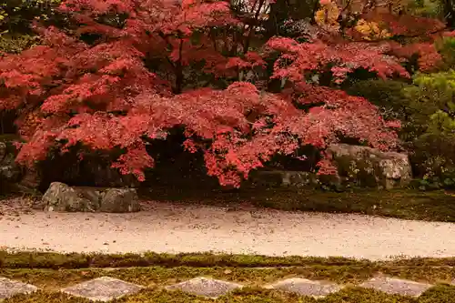 天授庵(京都府)