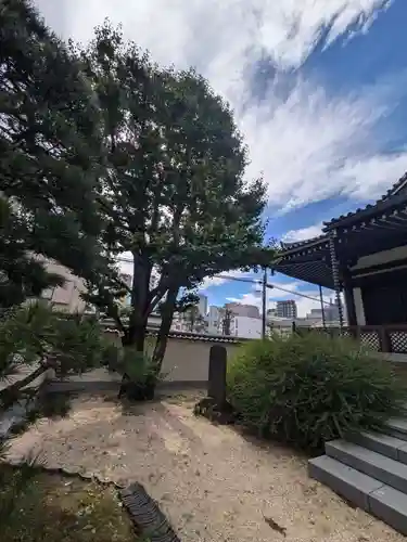 源空寺(東京都)