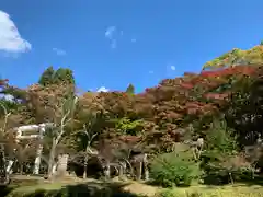 土津神社｜こどもと出世の神さまの建物その他