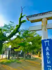 伏木香取神社の建物その他