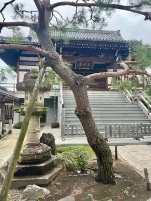 来迎寺(東京都)