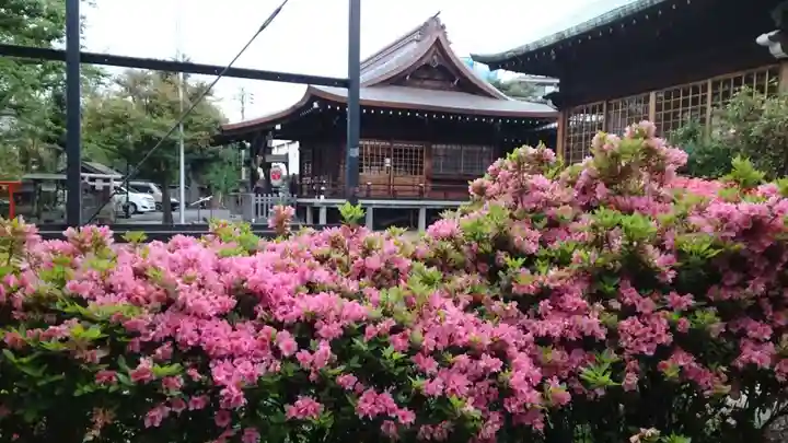 本郷氷川神社(東京都)