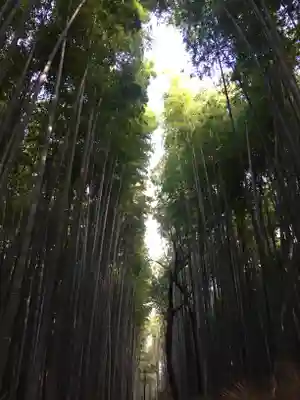 野宮神社(京都府)