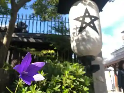 晴明神社(京都府)