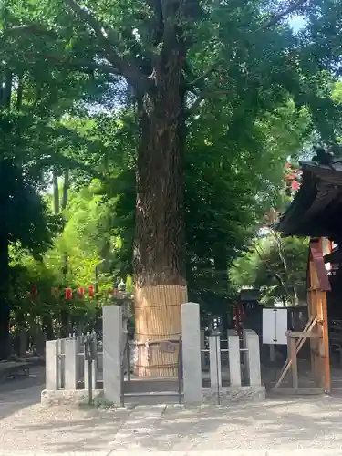 田無神社(東京都)