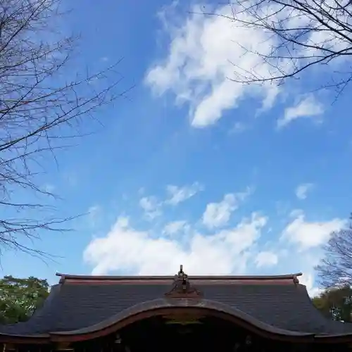 渋谷氷川神社の景色