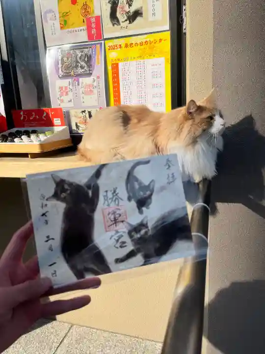 駒込妙義神社(東京都)