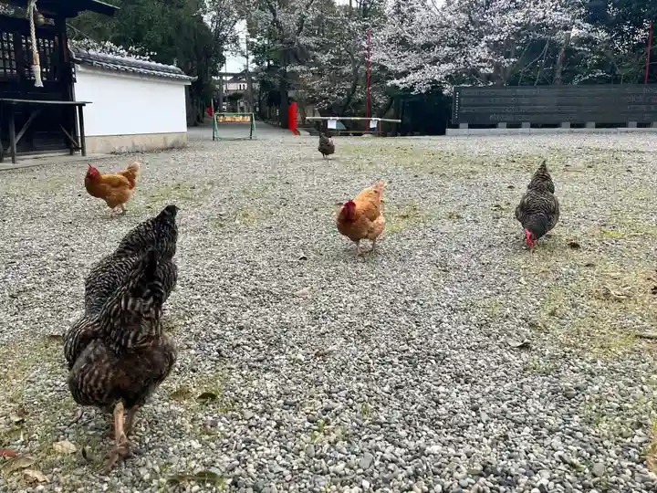 聖神社(大阪府)