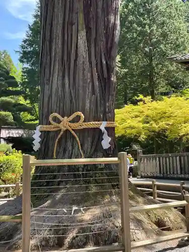 北口本宮冨士浅間神社(山梨県)